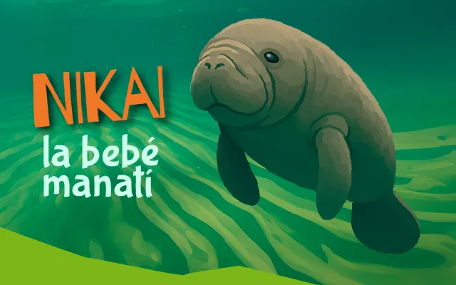 Nikai, la bebé manatí: beca ganadora para la primera infancia