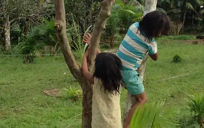La noción de aprendizaje en los niños del pueblo Pãmiwa y Tikuna