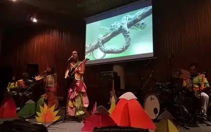 Jacana Jacana, una familia sonora