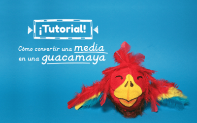 Tutorial – ¿Cómo convertir una media en una guacamaya?